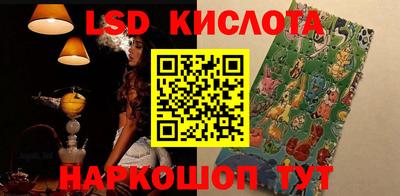 крисы Пенза
