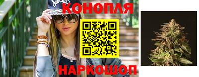 крисы Пенза