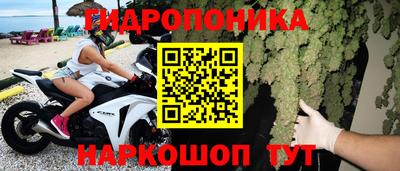 крисы Пенза