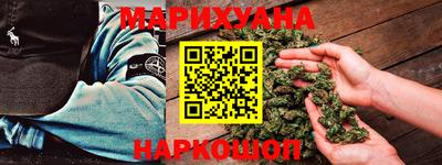 крисы Пенза